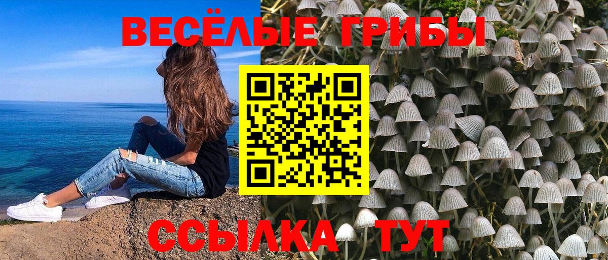 что такое   Вход с VPN  Азнакаево  Псилоцибиновые грибы GOLDEN TEACHER  Псилоцибиновые грибы MAGIC MUSHROOMS 